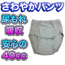 尿漏れパンツ さわやかパンツ 安心の40cc ブリーフタイプ メール便可能 新品 ki008