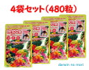 コッカス 1粒100食 海から山から畑から 250mg×120粒×4袋セット（480粒）1粒に腸内細菌437億個配合【あす楽対応_関東】