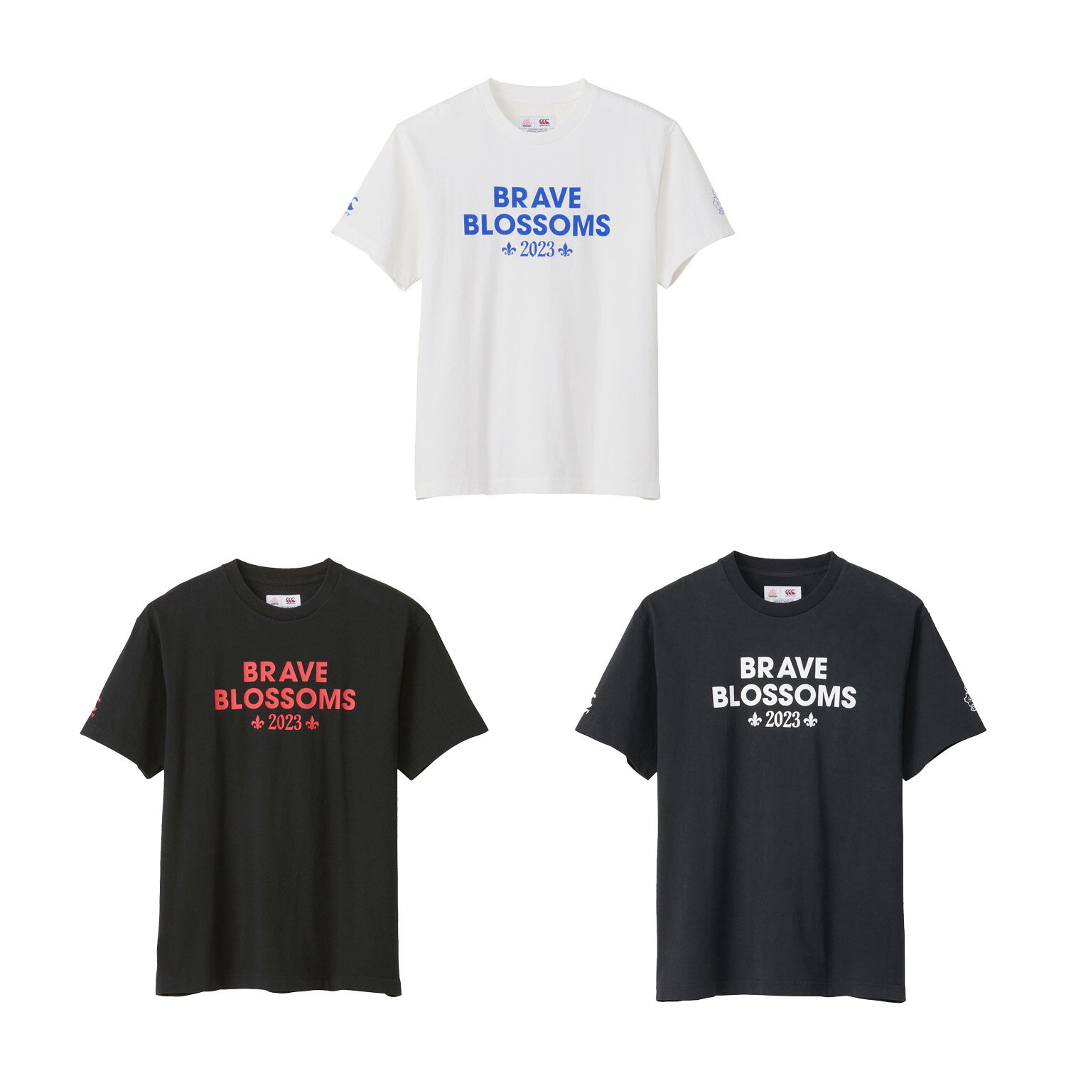 ジャパンショートスリーブスペクテーターティー ラグビーワールドカップ2023 JAPAN S/S SPECTATOR TEE RA33778 ラグビージャージ ラグビー カットソー 半袖 ユニセックス メンズ BRAVE BLOSSOMS ラグビージャージ