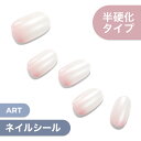 【公式】glaze ジェルネイル シール 34枚入り【Mystic Rosewater】ネイル チップ ネイルチップ ジェルネイル セルフネイル ダッシングディバ ネイルシール おうちネイル カラージェル 付け爪 つけ爪 貼るネイル Dashing diva はがせる 秋ネイル