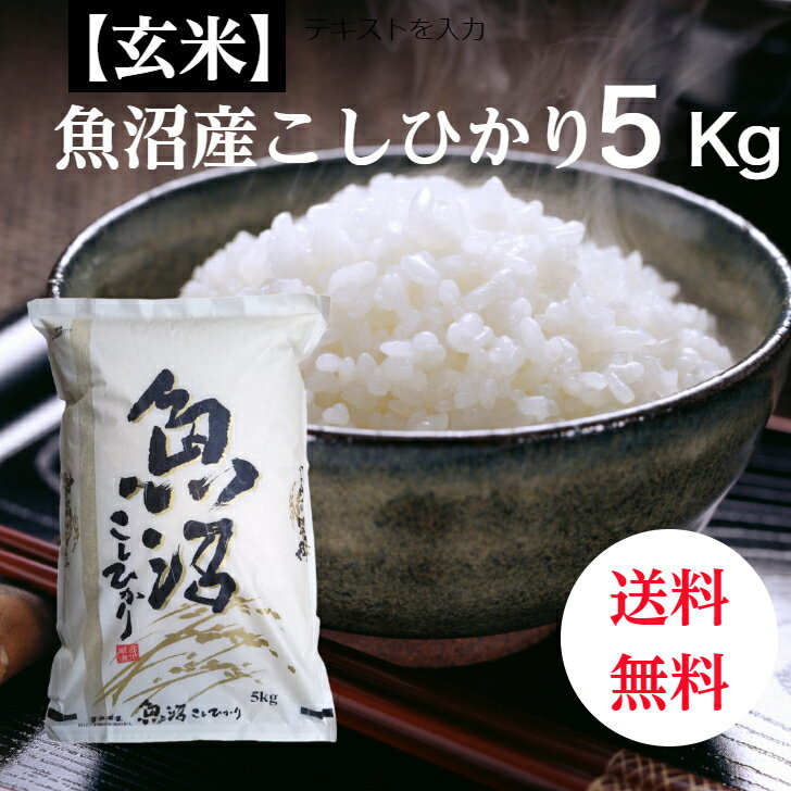 玄米 新潟県 魚沼産 コシヒカリ 令和7年産 玄米 米 コメ （5kg×1袋) 送料無料 新潟産 こしひかり