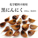 化学肥料不使用化学肥料不使用化学肥料不使用 黒にんにく 熟成発酵 新潟県産にんにく バラ 無添加 (250g/約40片)