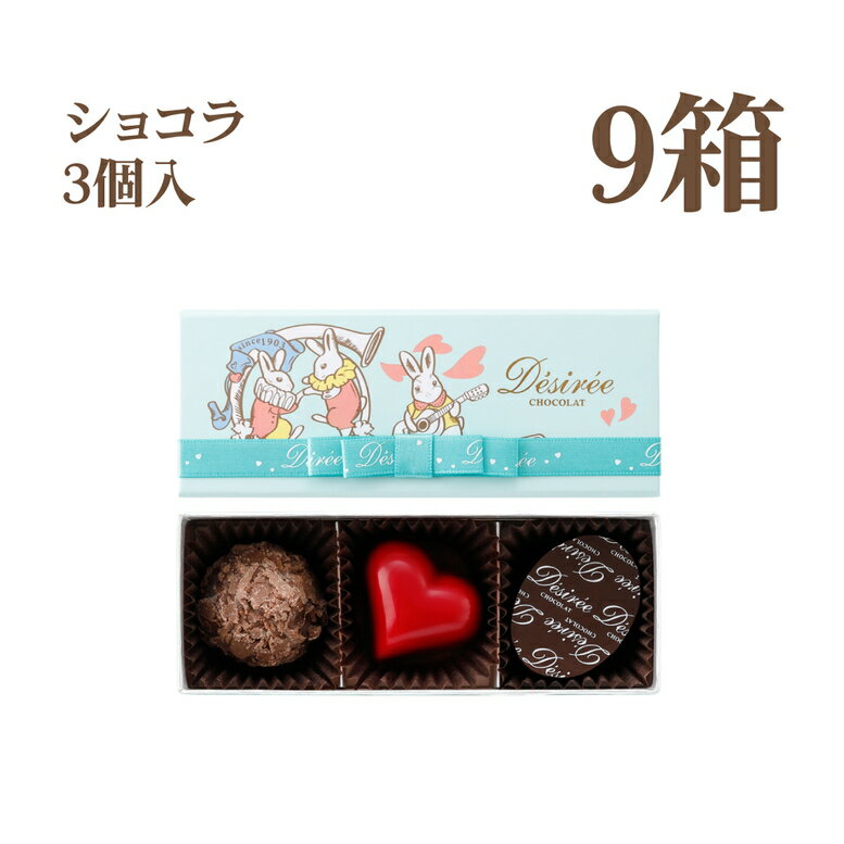 【ポイント10倍~1／29 01:59まで】 バレンタイン 2026 デジレー ショコラ3個入(計9箱セット+ミニチョコBOX4箱) 最優秀賞レシピから創るベルギー伝統の味 チョコ チョコレートギフト バレンタインデー 義理チョコ プチギフト 高級