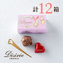 12/1販売開始 デジレー ショコラ2個入(計12箱セット+ミニチョコBOX4箱) クリスマス チョコレート お歳暮 ギフト チョコ お年賀 チョコレートギフト...