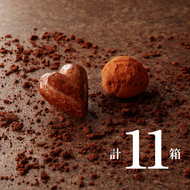 ボヌール2個入(計11箱セット+ミニチョコBOX5箱) 百貨店で完売続出の大人気ショコラ バレンタイン チョコレート チョコ 2023 ギフト バレンタインデー 義理 プレゼント スイーツ お菓子 詰め合わせ プチギフト かわいい おしゃれ お返し お配り 洋菓子 手土産 お礼 職場のサムネイル