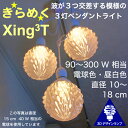 180W相当 3灯ペンダントライト 直径 12cm 3Dデザイン電球付き Xing3 直径12cm おしゃれ きらめく裸電球 オリジナル透明ランプシェード 電球色 昼白色 LED照明器具 光の彫刻 天井照明 天井灯 ソケットランプ 居間 玄関 ペンダントランプ