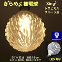 3Dデザイン電球 Xing3 60W相当 サイズ15cm おしゃれ きらめく きらめき トロピカルフルーツ風 オリジナルLED電球 電球色 昼白色 裸電球 口金E26 大きい 大形 大型ボール型 ボール球 きらきら きらめく 光の彫刻 光の装飾 廊下 トイレ 玄関 階段 天井 直付け 天井照明