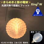 天井の淡い影 きらめく 光が伸び拡がる 3Dデザイン電球 Xing2 W　光源交換で部屋にフィット　直径 12 cm 口金 E26 電球色