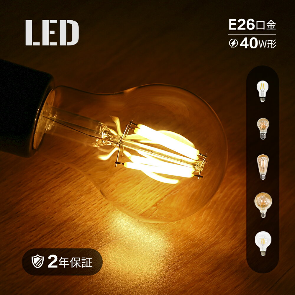 電球 E26 ペンダントライト ダクトレール用 ダクトレールライト 裸電球 レトロ アンティークライ ...