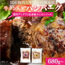送料無料 牛タン入りハンバーグ デミグラスソース 和風オニオンソース 1個 170g 個包装 冷凍 湯煎 レンジ レンチン 冷凍食品 お取り寄せ お肉 宮城県 ...