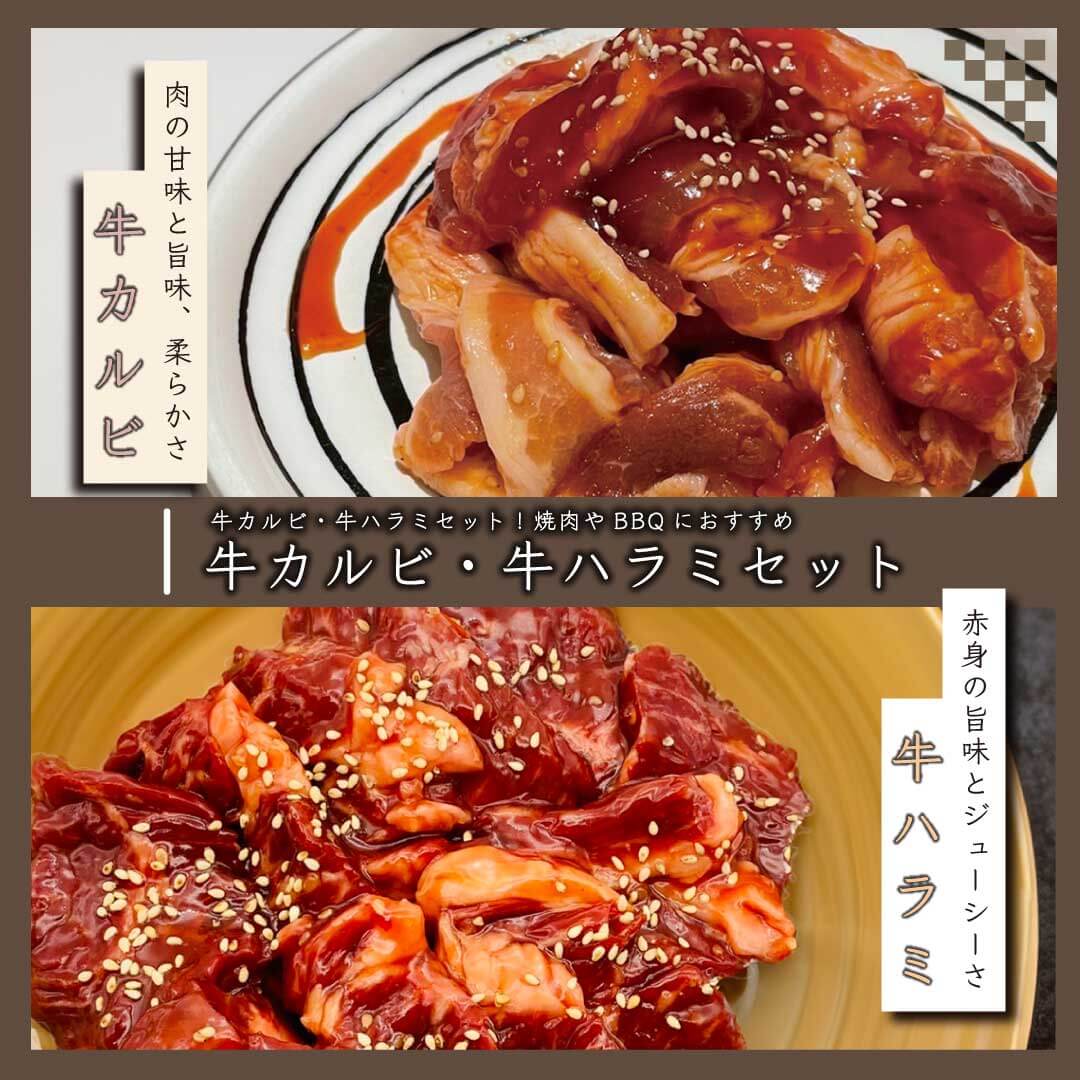 牛ハラミ＆牛カルビ 詰め合わせセット 焼肉用 味付き 500g〜(各250g×1pc〜) ／ハラミ サガリ カルビ 大..