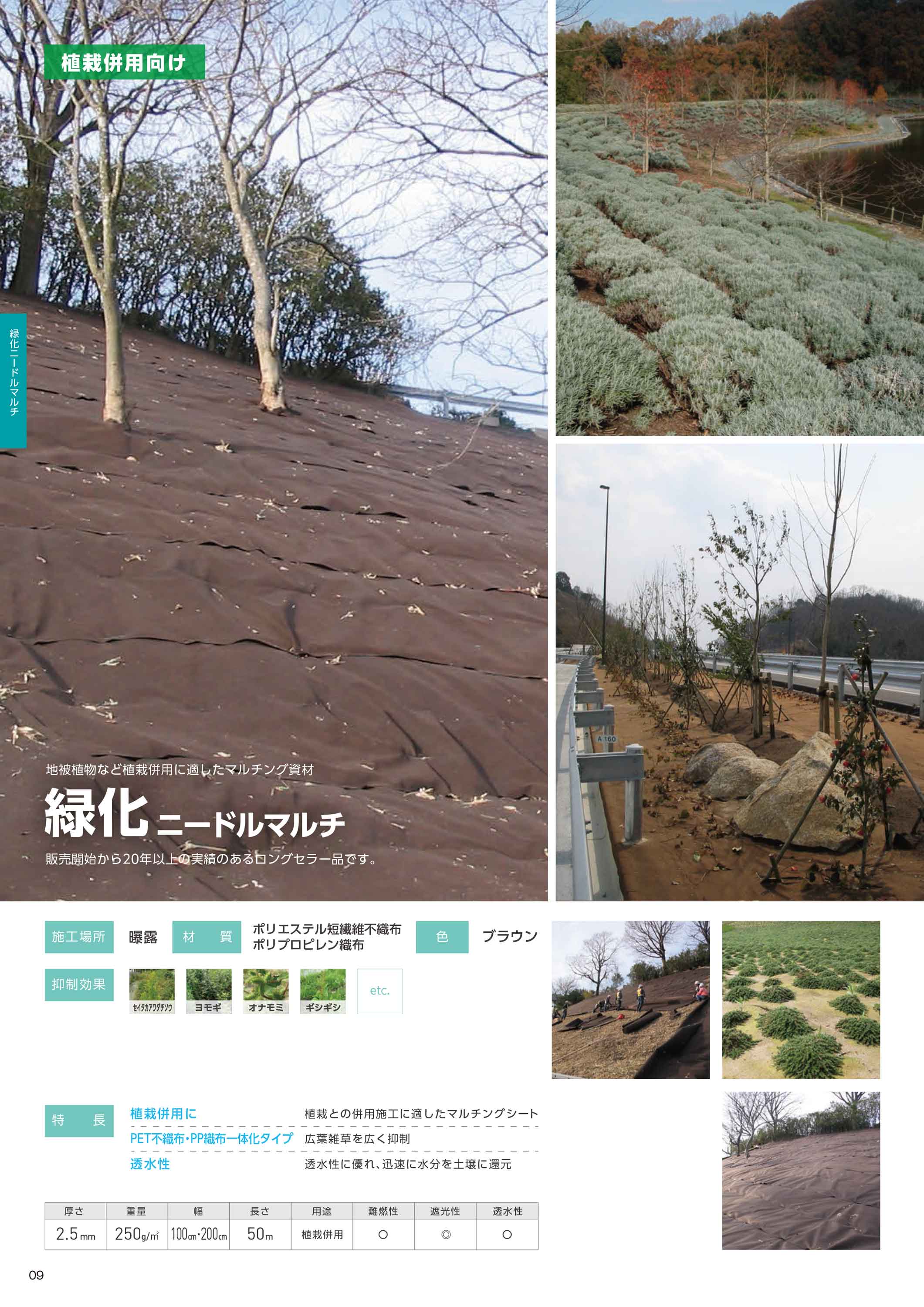 【法人のみ】小泉製麻(/I) 防草シート 緑化ニードルマルチ 2m×50m 1巻 曝露 植栽併...