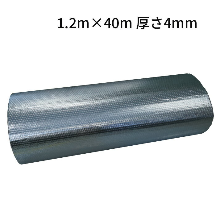 NBC󥸥˥ (/BH)  1 1.2m40m 4mm Ǯ [AS-3]