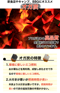 【10kg×2箱】一級品 Aグレード オガ炭 インドネシア産 高級オガ炭 6角形 20kgセット オガ備長炭 バーベキュー キャンブ (/S)通販格安セール情報 楽天 通販