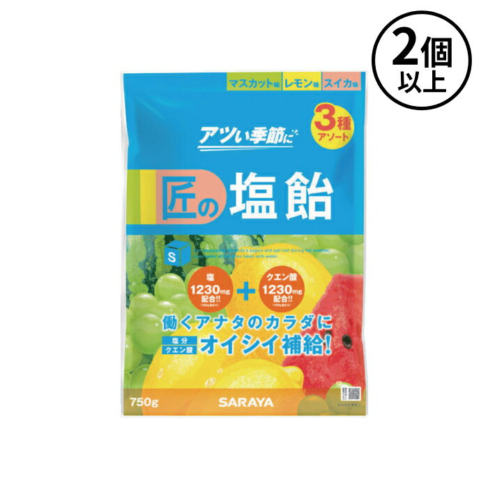 サラヤ (/AN) 2個以上注文用 匠の塩飴 マスカット レモン スイカ アソート 750g 熱中症 業務用 塩あめ 塩アメ 熱中症対策 [27860]（楽天・ProShop伊達　楽天市場店）
