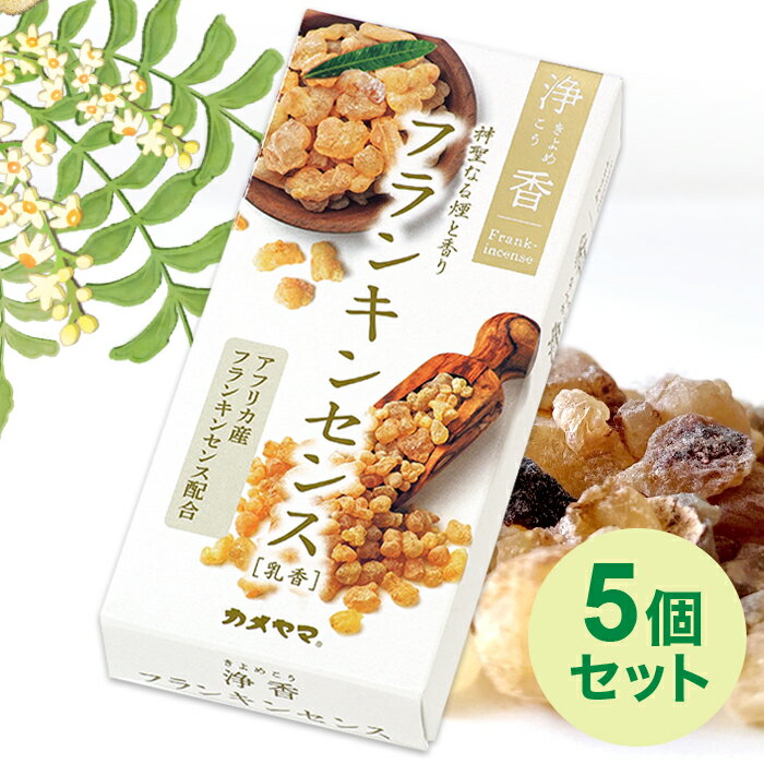 11/27 1:59までポイント2倍 【送料無料(ポスト投函)】 カメヤマ (/H) 5個セット 線香 お香 浄香 フランキンセンス きよめこう ヨガ 掃除の後...