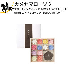 https://thumbnail.image.rakuten.co.jp/@0_mall/date27/cabinet/new-thumbnail4/ky-t9620-07-00.gif