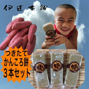 さつまいも かんころ餅 懐かしい味 自然食品 餅菓子 長崎郷土菓子 干しいも スイーツ 3本入り 【配送はメール便のみ】