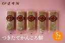 【つきたてかんころ餅 5本セット】五島 伊達本舗 かんころ餅 保存食 おやつ お菓子 さつまいも 無添加 自然派 餅菓子 干し芋 和菓子 懐かしい味 長崎郷土菓...