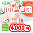 【福島県伊達産】【桃送料無料】川中島白桃3kg箱（9〜11個）福島桃　産地直送【E】