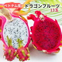 ベトナム産 "ドラゴンフルーツ" 選べる 白肉 赤肉種 13玉 ピタヤ レッド/ホワイト栄養が豊富 完熟果肉 日本向け トロピカルフルーツ 火龍果 Dragon Fruit Pitaya 厳選南国フルーツ サラダにピッタリ 珍しい果物 家庭用 体に良い