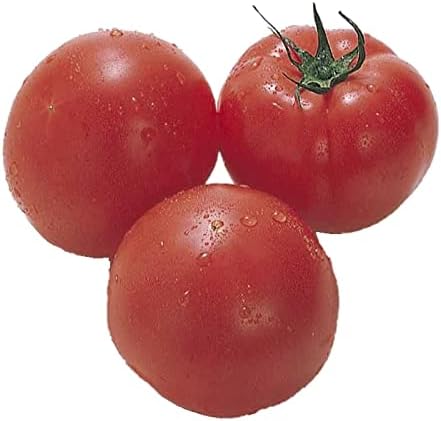 熊本県産他 国内産 トマト 16玉前後 x 1ケース 業務用・大量販売 【北海道・沖縄・離島以外送料無料】 ..