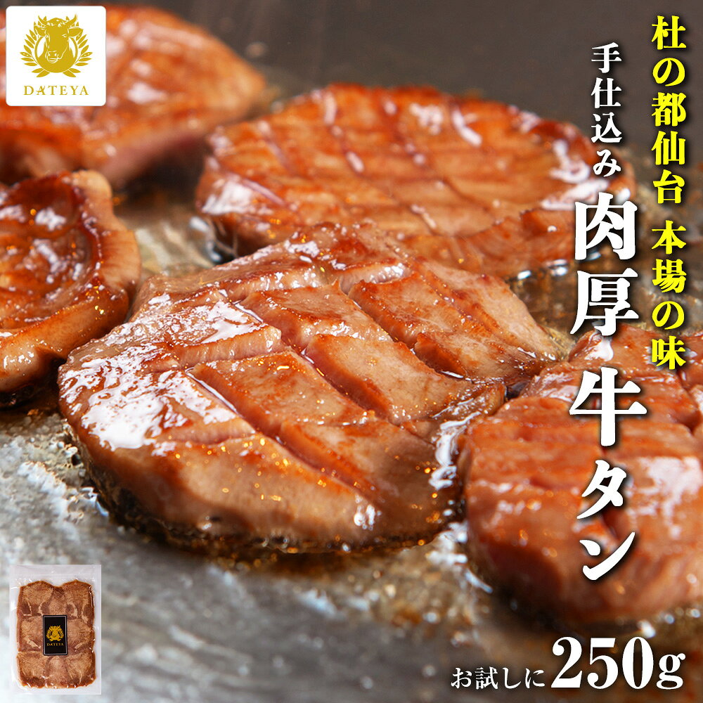 本場仙台専門店の味 特選 厚切り 牛たん お試し 250g 2〜3人前 杜の都