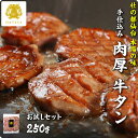 【24時間限定 クーポンで10%OFF】本場仙台専門店の味 特選 厚切り 牛たん お試しセット 250g 2〜3人前敬老の日 残暑見舞い 杜の都 仙台 名物 牛...