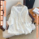 【送料無料】 シャツ Vネック トップス 服 ブラウス インナー レディース 女性 学生 きれい シンプル ファッション おしゃれ プレゼント 誕生日 ギフト 通勤 通学 オフィス OL お出かけ 通気 薄手 着痩せ カジュアル レトロ 春 夏 秋 快適 ボリューム感 女性らしい