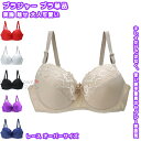 【送料無料】 ブラジャー ブラ単品 インナー チラ見え 谷間 メイク セクシー 美胸 魅せ 自然盛り 小胸 谷間 脇高 キレイ 大人可愛い レディース 女性 肌着 快適 吸湿 春夏秋冬 プレゼント ギフト 普段 旅行 温泉 納涼 お泊り 誕生日 レース 外せるストラップ オーバーサイズ