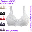 【送料無料】 ブラジャー ブラ単品 インナー チラ見え 谷間 メイク セクシー 美胸 魅せ 自然盛り 小胸 谷間 脇高 キレイ 大人可愛い レディース 女性 肌着 快適 吸湿 春夏秋冬 プレゼント ギフト 普段 旅行 温泉 納涼 お泊り 誕生日 レース オーバーサイズ ワイヤー付き