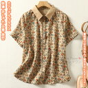 【送料無料】 レディースシャツ シャツ トップス 服 ブラウス レディース 女性 学生 きれい シンプル ファッション おしゃれ 旅行 アウトドア 文化祭 祭り...