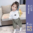 【送料無料】キッズ衣装 上下セット 2点セット 子供ヒップホップ 子供ウェア 上下セットアップ HIPHOP Dance 長袖 ゆったりtシャツ ウエア サルエ...