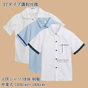 【送料無料】 子供シャツ シャツ フォーマル シンプル 半袖 夏 子供 男の子 女の子 学園 学生 ガール 可愛い カッコイイ 上品 エレガント 安い おしゃれ 結婚式 団体 制服 受験 面接 入学式 入園式 卒園式 発表会 プレゼント 誕生日 100 110 120 130 140 150 160 170 180