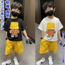 【送料無料】 キッズ衣装 上下セット 2点 子供ヒップホップ 子供ウェア 上下セットアップ HIPHOP Dance 半袖 ゆったり tシャツ スポーツウェア ...