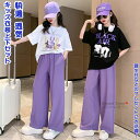 【送料無料】 キッズ衣装 上下セット 2点 子供ヒップホップ 子供ウェア 上下セットアップ HIPHOP Dance 半袖 ゆったり tシャツ スポーツウェア ...