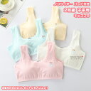 【送料無料】 2枚セット 2枚組 ブラ ジュニアブラ キッズブラジャー タンクトップ インナー パッド付き 下着 肌着 ノンワイヤー 子供 ガールズ 女の子 キ...