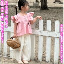 【送料無料】 キッズ衣装 上下セット 2点 子供ウェア 上下セットアップ フリルスリーブ ウエア トップス ズボン ワイド パンツ 衣装 女の子 ジュニア 子供...