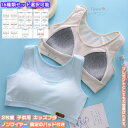 【送料無料】 2枚セット 2枚組 ブラ ジュニアブラ キッズブラジャー タンクトップ インナー パッド付き 下着 肌着 ノンワイヤー 子供 ガールズ 女の子 キ...