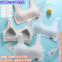 【送料無料】 3枚セット 3枚組 ブラ ジュニアブラ キッズブラジャー タンクトップ インナー パッド付き 下着 肌着 ノンワイヤー 子供 ガールズ 女の子 キ...