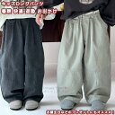 【送料無料】 キッズパンツ ワークパンツ 長ズボン イージーパンツ ロング ボトムス 子供 女の子 男の子 ユニセックス 幼児 学生 透気 快適 柔らかい カジュアル 格好よく 可愛い シンプル 春秋 プレゼント 誕生日 アウトドア キャンプ パーク 遊園 通園 散歩 お出かけ 旅行