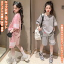 【送料無料】 キッズ衣装 上下セット 2点セット セットアップ 半袖 tシャツ ウエア トップス ズボン 短パン パンツ 衣装 男の子 女の子 ジュニア 子供 学生 春夏 快適 透気 可愛い 薄手 カジュアル お出かけ アウトドア 旅行 散歩 キャンプ 遊園 プレゼント 誕生日 ギフト