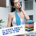 【送料無料】 クールタオル 冷却タオル タオル 2枚セット 涼しいタオル 作業タオル アウトドアタオル ひんやり 熱中症対策 暑さ対策 冷感 涼感 旅行 快適 ...