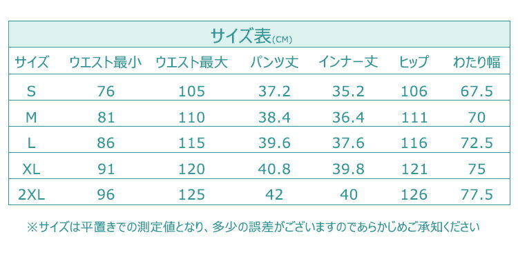 【送料無料】スイムパンツ サーフパンツ ショー...の紹介画像3