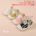 【送料無料】女の子 男の子 子供 キッズ 靴 シューズ スニーカー ダイヤル キャンバス 運動靴 軽量 透気 快適 通園 通学 散歩 ランニング ウォーキング アウトドア キャンプ 履きやすい 疲れない 痛くない やわらかい 気持ちいい カジュアル かわいい 春 夏 秋 冬 紐なし