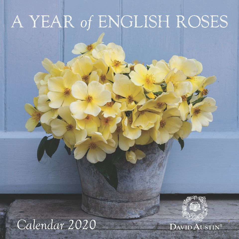 ＊50% OFF!＊　Wall Calendar 2020 - イングリッシュローズ・カレンダー 2 ...