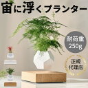 エアプランツ 【限定カラー販売】ライフ プランター インテリア 鉢植え 植木鉢 小型 ガーデニング 鉢 エアプランツ おしゃれ 北欧 リビング 寝室 フロア 卓上 リビング モダン コンパクト 寝室 ベッドサイド 玄関 置き物 デスク オブジェ ギフト プレゼント 贈り物 ラッピング 正規代理店