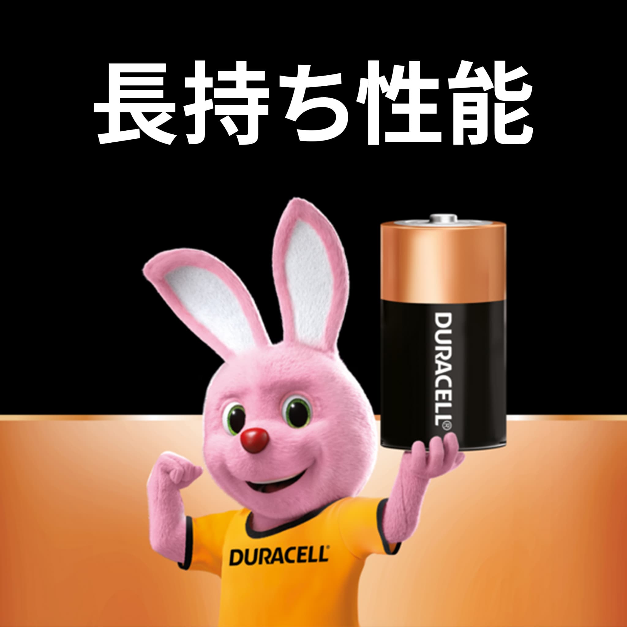 【公式販売店】 デュラセル アルカリ 乾電池 単1形 2本入り DURACELL 乾電池 単1 単一 おすすめ ブランド 災害対策 防災 台風 停電 地震 長期保存 備蓄 使い捨て 電池式 おもちゃ リモコン ワイヤレスマウス 時計 ラジオ ゲーム コントローラー 水銀不使用