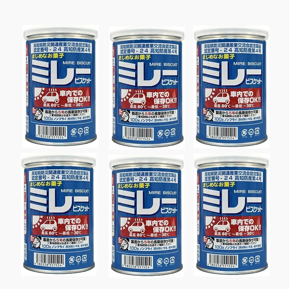 5のつく日P3→4倍&間もなく終了!ブラックフライデー&特設会場にてクリスマス早割開催中!\ 6個セット / 野村煎豆加工店 車載用 ミレービスケット 100g...
