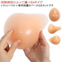 2点セット 乳がん パッド 乳がんパット 人工乳房 シリコンパッド 保護カバー ブラパット 乳癌パッド 胸パット ボディメイク 手術後 バスト補正 バストケア 螺旋型 三角型 ロング型 水滴型 切除部位によって選べる4タイプ 右側 左側 サイズ 100g 150g 200g 250g(4)